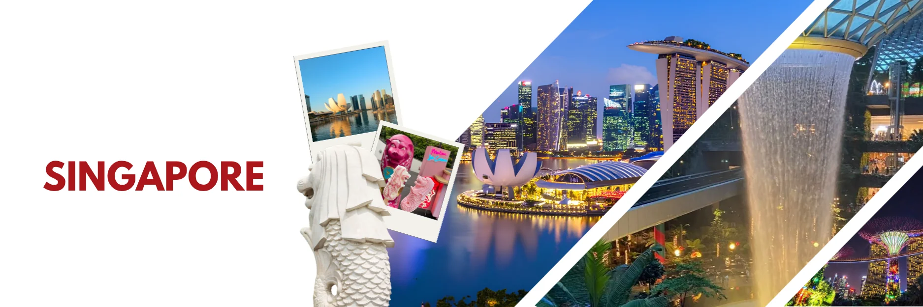 Singapore Program